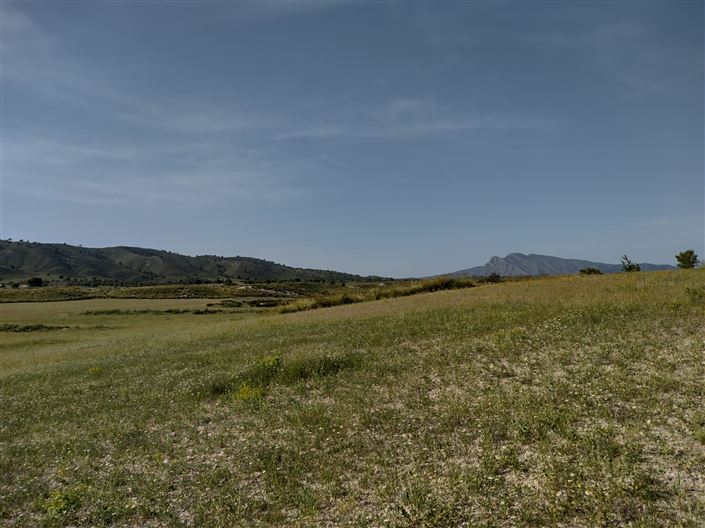 Image No.29-Ferme de 3 chambres à vendre à Jumilla