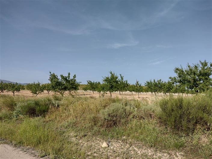 Image No.30-Ferme de 3 chambres à vendre à Jumilla