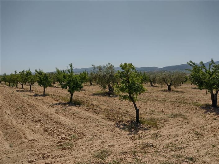 Image No.22-4 Bed Farmhouse for sale