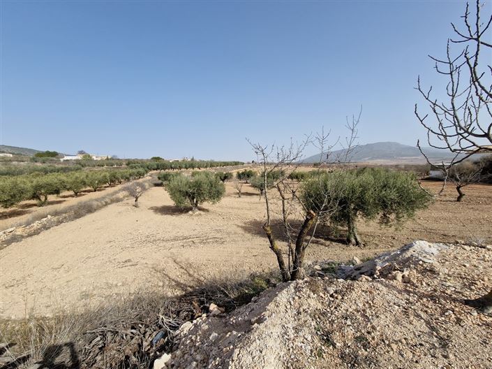 Image No.4-Chalet de 3 chambres à vendre à Raspay