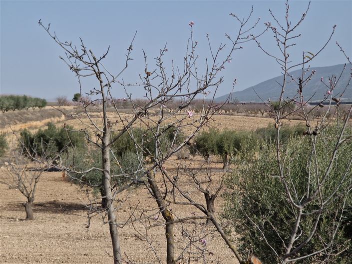 Image No.5-Chalet de 3 chambres à vendre à Raspay