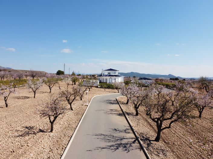 Image No.3-Villa de 4 chambres à vendre à Pinoso