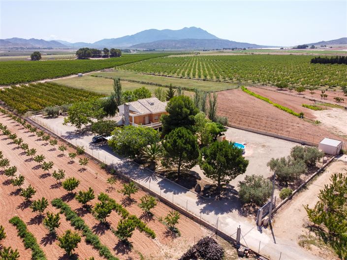 Image No.8-7 Bed Villa for sale