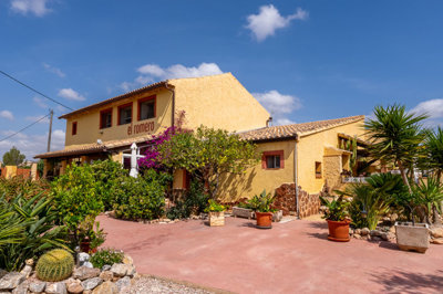 3566bandbelromero300524130941cf300257