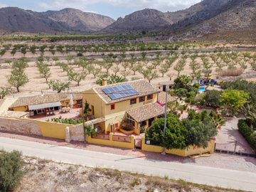 3566bandbelromero300524131208cf3002drone16