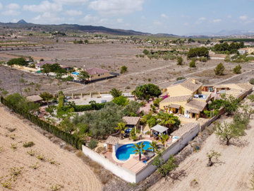 3566bandbelromero300524131211cf3002drone8