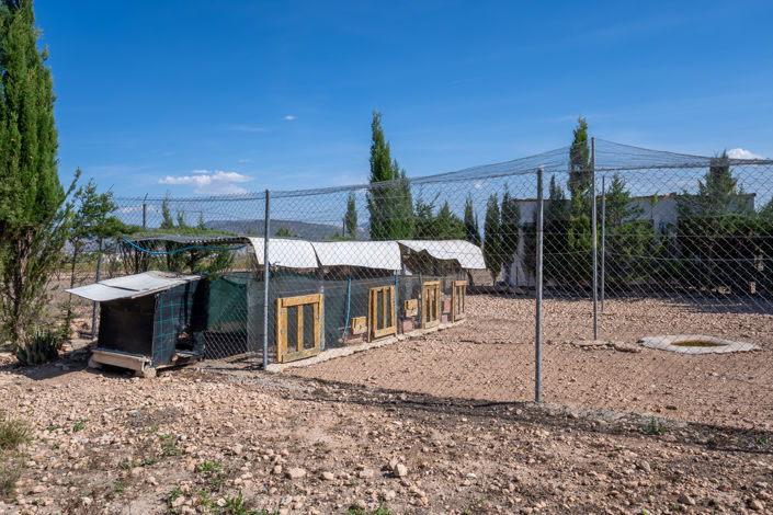 Image No.27-3 Bed Country House for sale