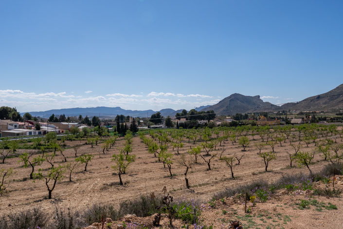 Image No.7-7 Bed Country House for sale