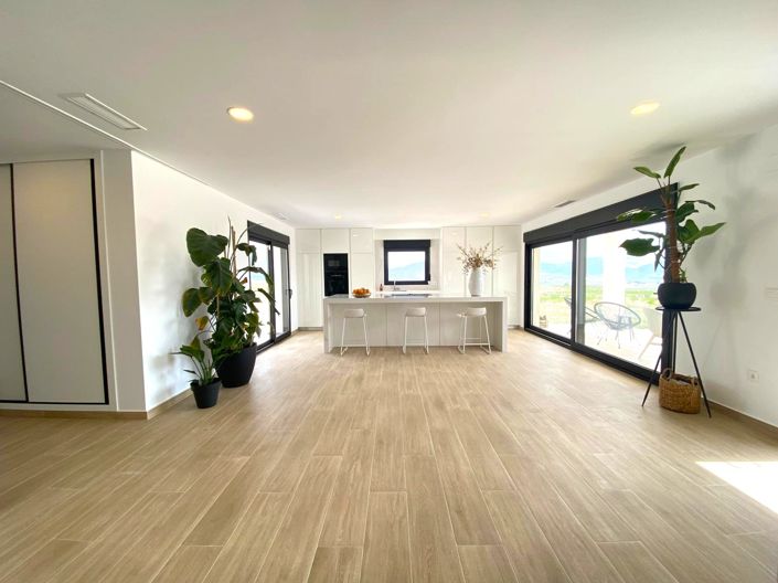 Image No.6-Villa de 4 chambres à vendre à Pinoso