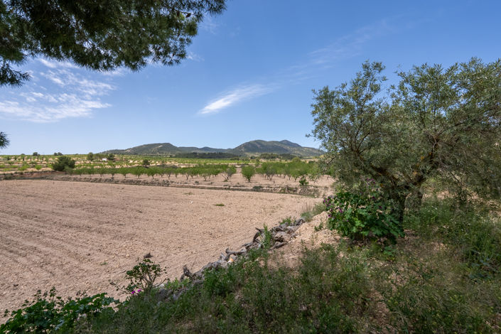 Image No.3-2 Bed Cottage for sale