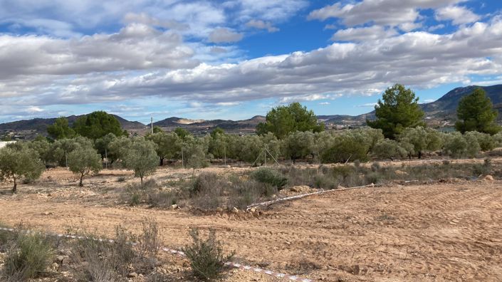 Image No.3-2 Bed Villa for sale