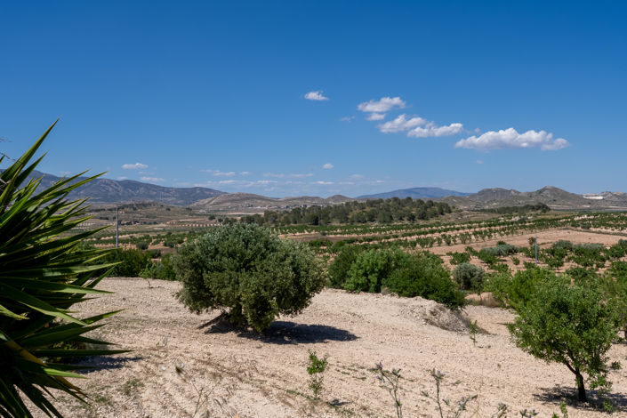 Image No.4-Villa de 3 chambres à vendre à La Zarza