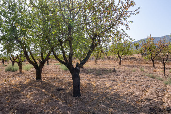 Image No.5-3 Bed Country House for sale