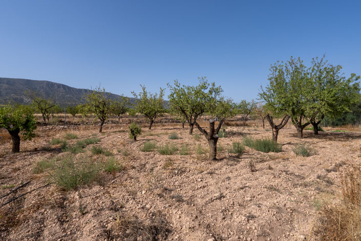 Image No.8-3 Bed Country House for sale