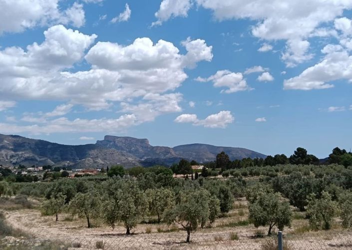 Image No.4-5 Bed Villa for sale