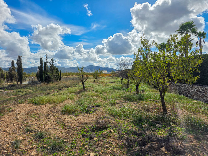 Image No.2-Country House for sale