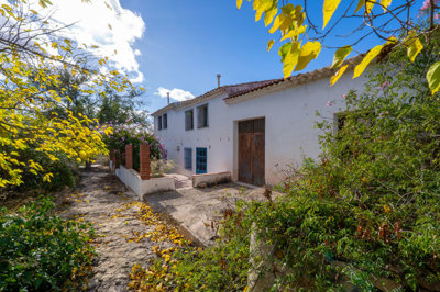 3925finca111125164658cf326344