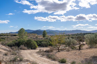 3925finca111125164654cf32633