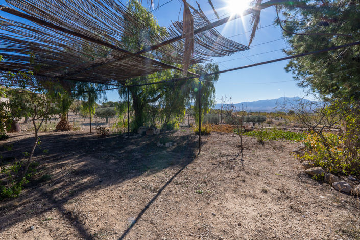 Image No.10-Maison de campagne de 5 chambres à vendre à Jumilla