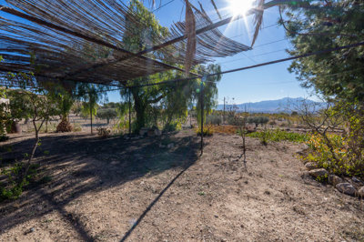 3935casalacuriosa021225140514cf326822