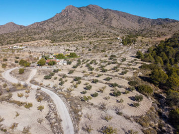 3935casalacuriosa021225143130cf3268drone9