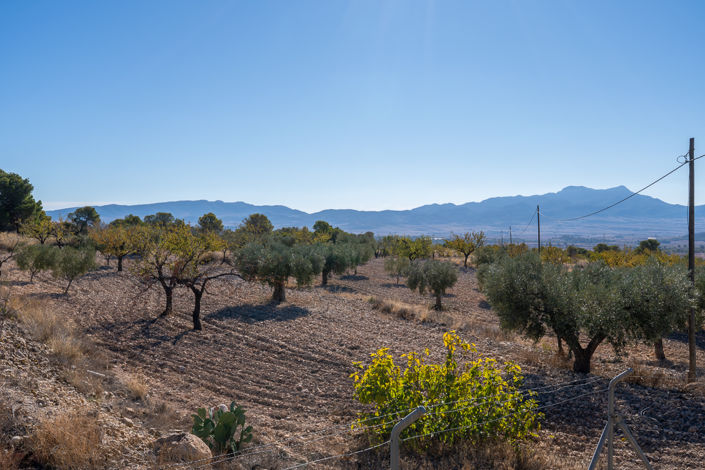 Image No.4-Maison de campagne de 5 chambres à vendre à Jumilla