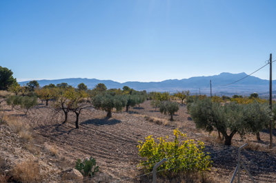 3935casalacuriosa021225140509cf326819