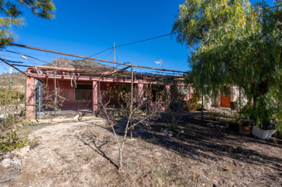 3935casalacuriosa021225140513cf326823