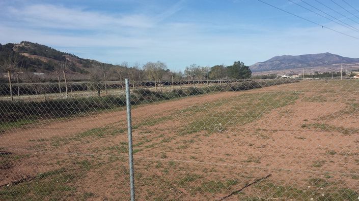 Image No.2-Land for sale