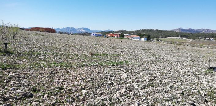 Image No.1-Land for sale