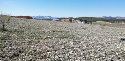 Country Fincas most sold property