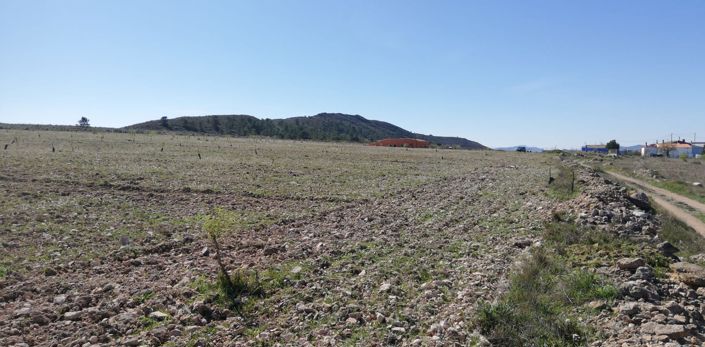 Image No.3-Land for sale