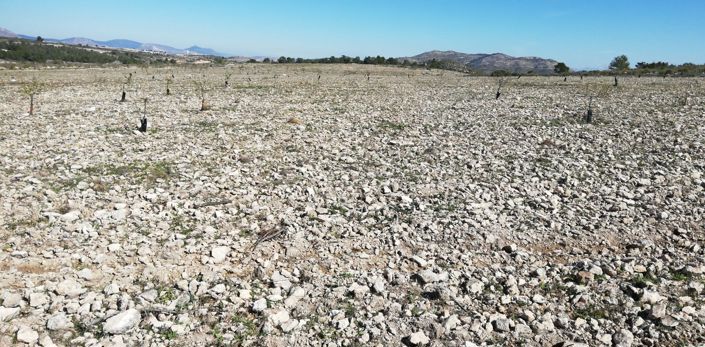 Image No.7-Land for sale