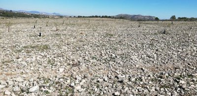 1479parcelayecla2102201342003bbfffae2f4e439d9