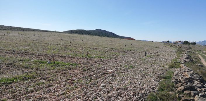 Image No.9-Land for sale