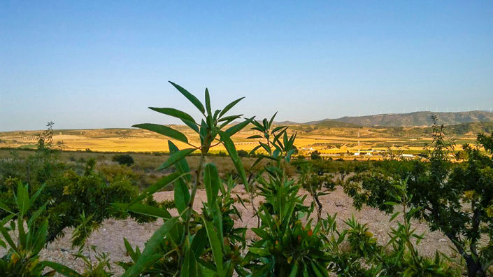 Image No.3-Land for sale