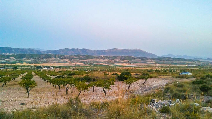 Image No.4-Land for sale