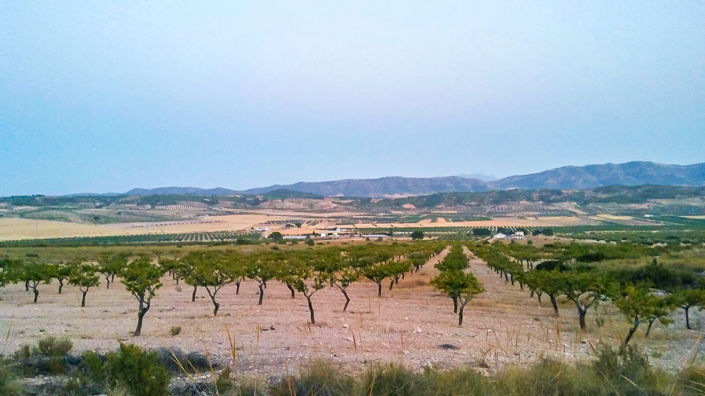 Image No.5-Land for sale