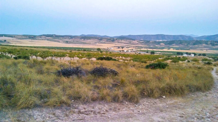 Image No.8-Land for sale