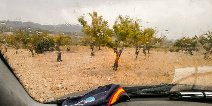 Image No.9-Land for sale