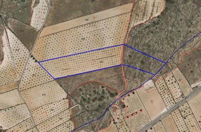 1019parcelatimonar170625130934screenshot20250