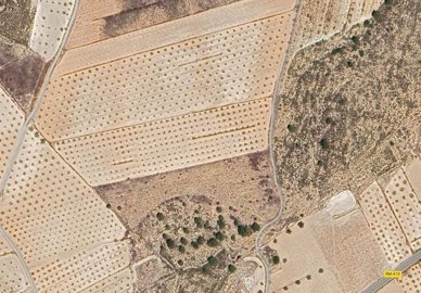 1019parcelatimonar170625130934screenshot20250