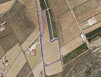 1029plotcobolla170625174634screenshot20250617