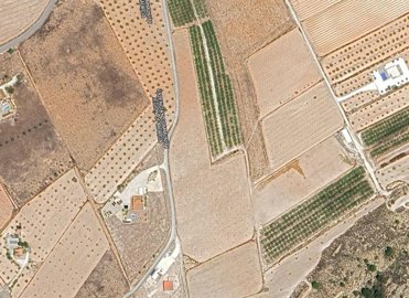 1029plotcobolla170625174733screenshot20250617