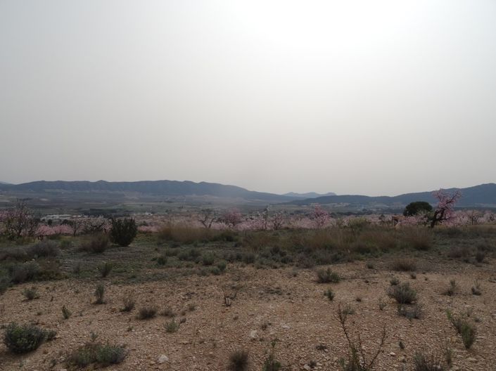 Image No.2-Land for sale