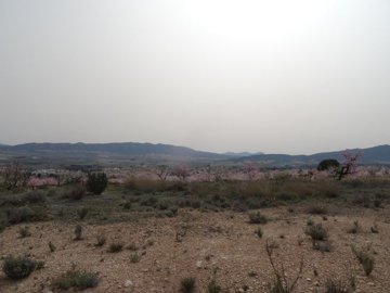 1047parcelaluiscf13382