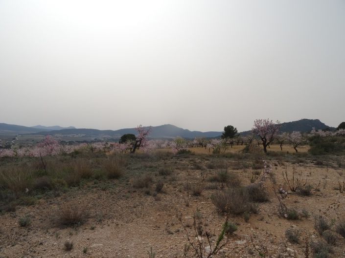 Image No.3-Land for sale