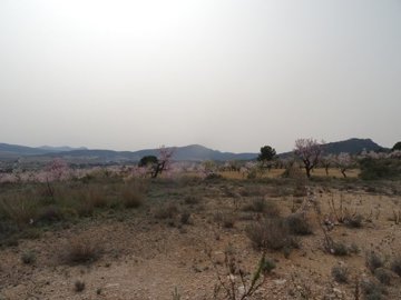 1047parcelaluiscf13387