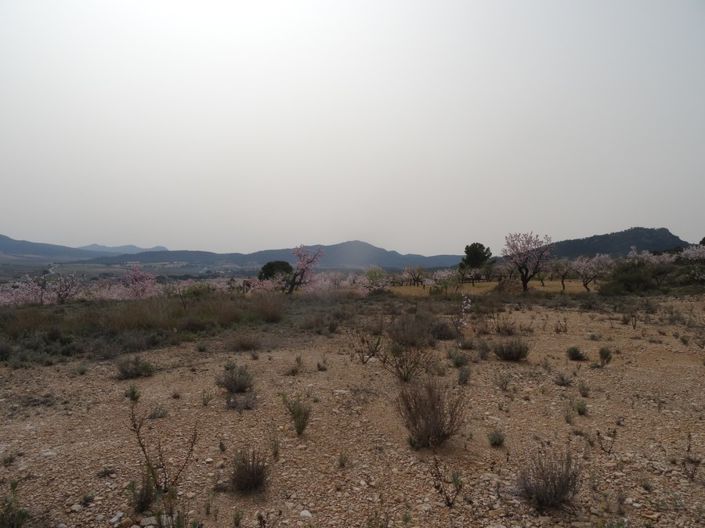 Image No.4-Land for sale