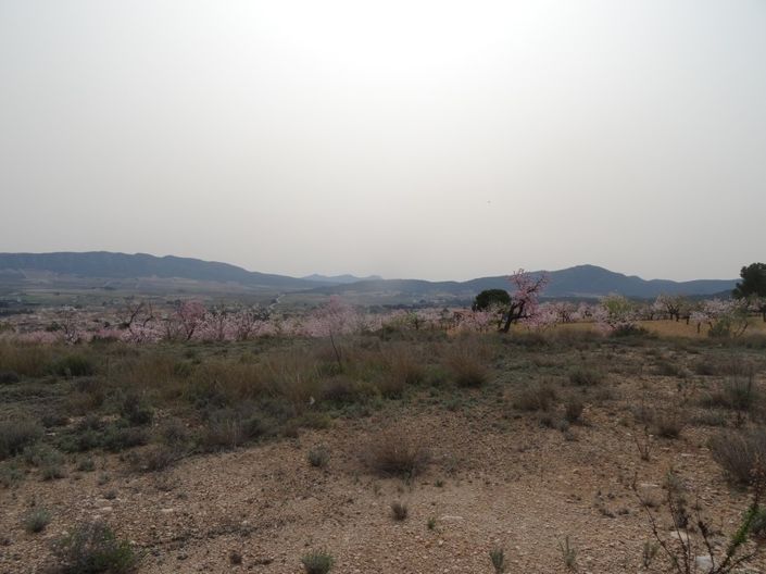 Image No.5-Land for sale